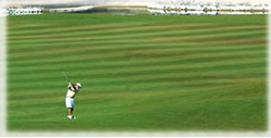 Rocky Point Golf Course